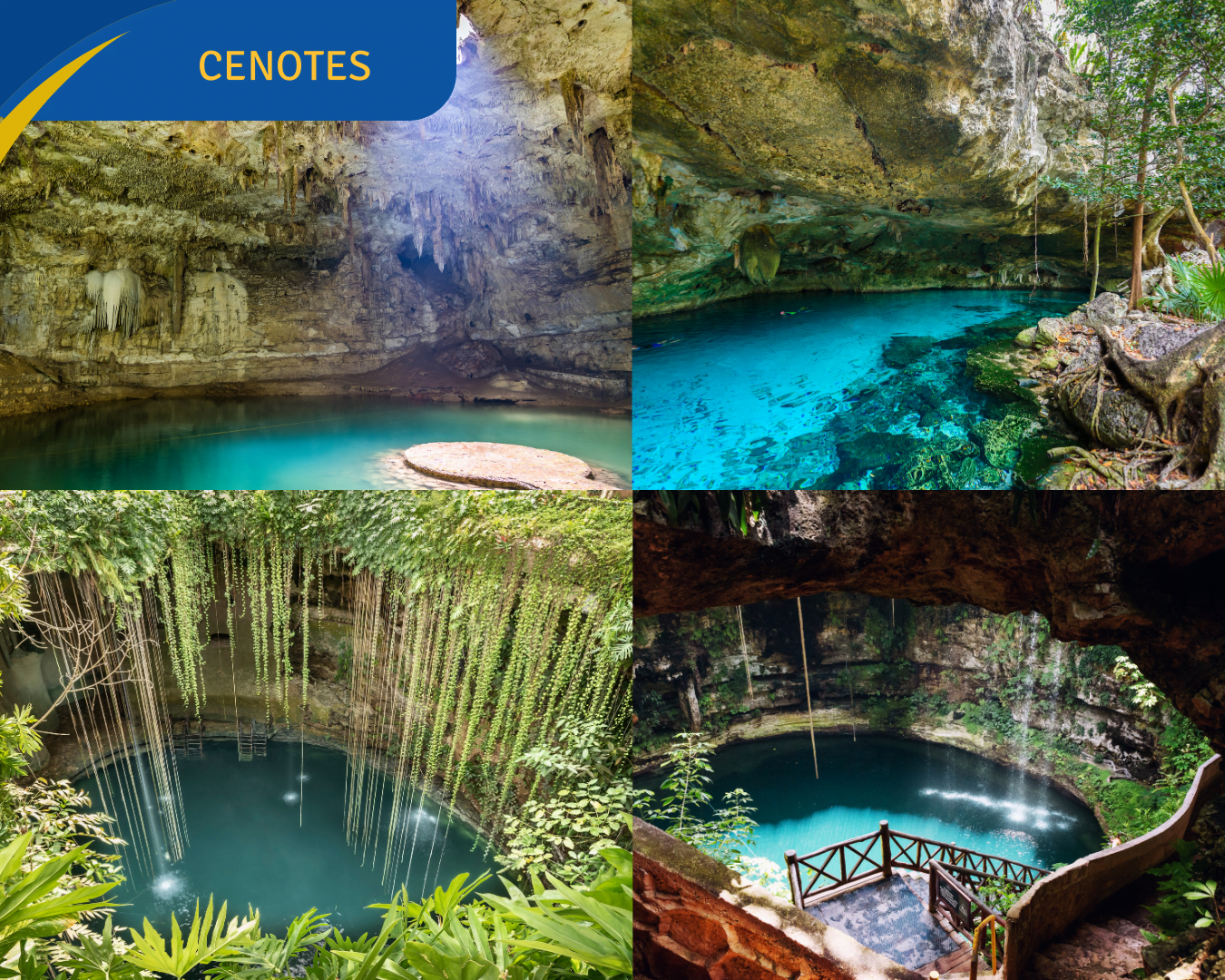 SERVICIOS (3)